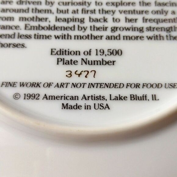 American Artists Collector's Plate "The Water Trough" by Fred Stone Issued 1992 - Picture 3 of 7